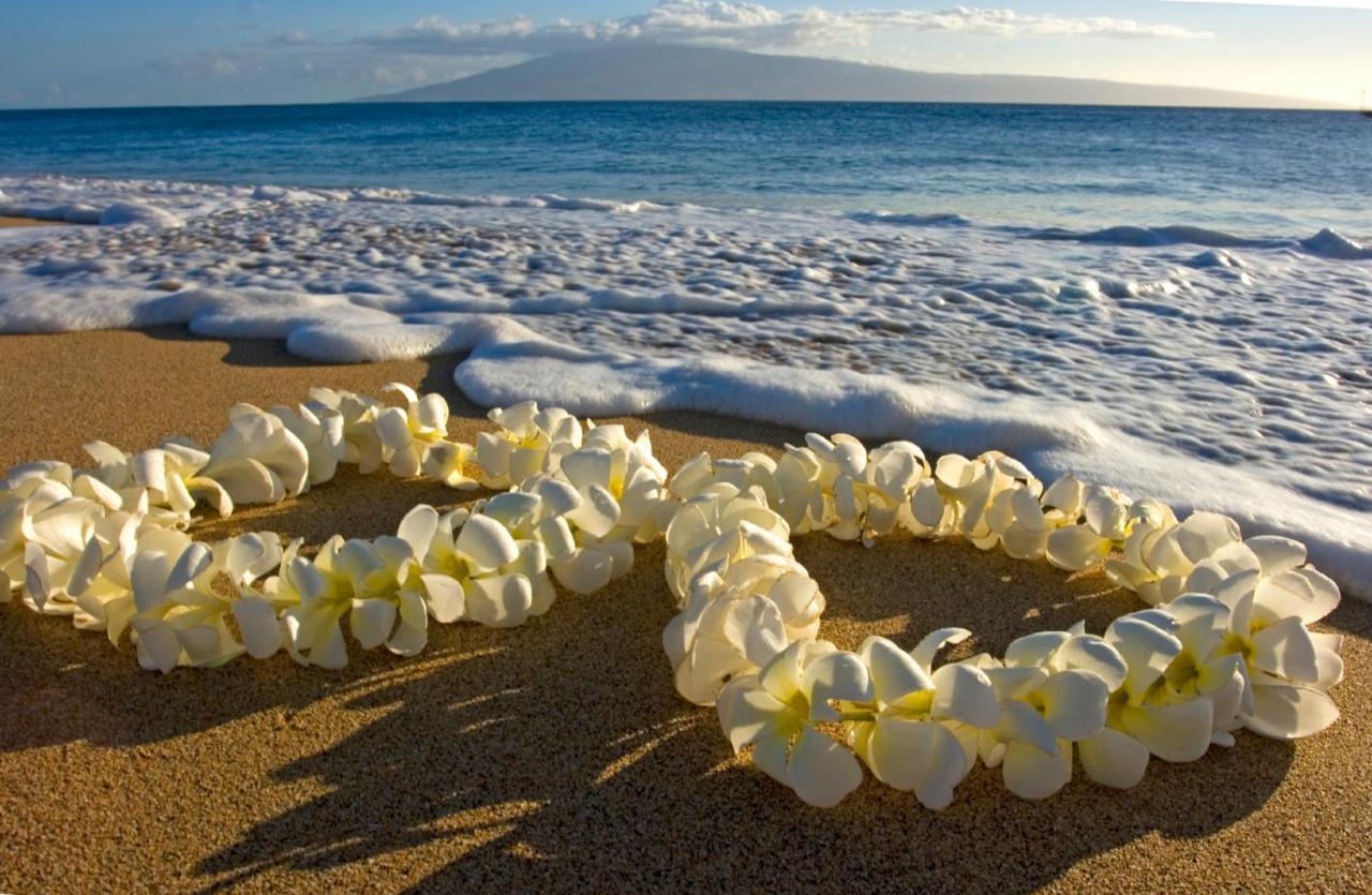 Cozy & Diamond Head View At Waikiki With Parking Apartamento Honolulu Exterior foto